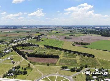 Terreno · 450m² · Terreno 450 m² Apto Comercial Sobre Av Principal - Ecolagos Oeste - Gral Lagos - Distrito Cero