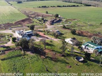 Campo · 1470000m² · 3 Ambientes · 147 Has Agricolas Uruguay