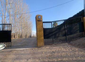 Terreno , Luján de Cuyo · Terreno de 2100 m. en Vistalba Barrio Semiprivado
