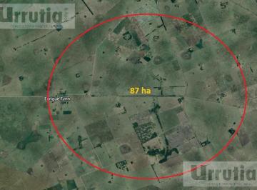 Campo · 870000m² · Campo en Venta, Enrique Fynn