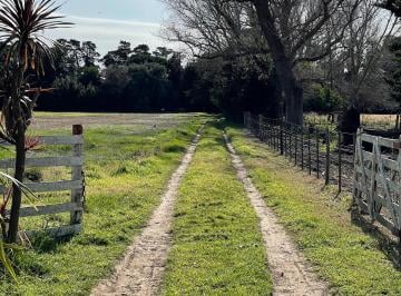 Campo de 2 ambientes, Miramar · Chacra de 10 Has en Miramar