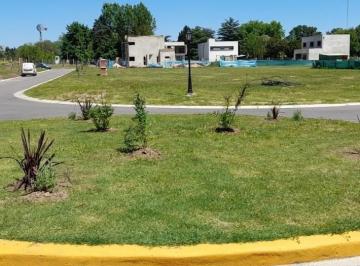 Terreno · 467m² · Terreno Parcela en Venta Ubicado en Santa Lucia, Pilar del Este, G. B. a. Zona Norte