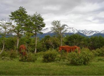 Terreno · 28000m² · Terreno Venta Patagonia Chubut 2,8 Ha Pesca con Mosca Frente Sobre Ruta Bosque Nativo