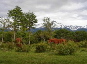 Campo · 280000000m² · Terreno Campo en Venta en Esquel, Chubut, Patagonia