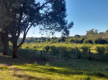 Campo de 3 ambientes, Salsipuedes · Camino del Cuadrado Espectacular Quinta/chacra Para Lotear