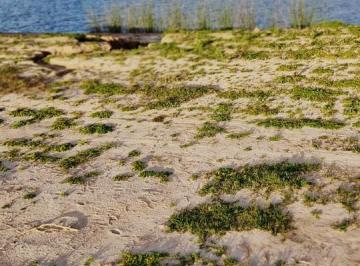 Terreno , Escobar · Lote en Venta Al Agua - Puertos del Lago - Barrio Amarras