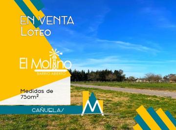 Terreno · 754m² · Loteo - Terrenos en Venta - Cañuelas - "El Molino"