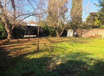 Terreno · 325m² · Lote en Venta: Udaondo 325 m²