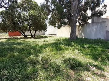 Terreno · 1500m² · Venta Lote Williams Morris C/edison