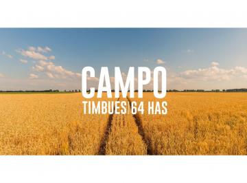Campo · 644000m² · Campo en Timbues, Santa Fé. Ideal Urbanización