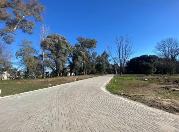Terreno · 350m² · Terreno a La Venta en Barrio Los Pinos III de Yei Pora