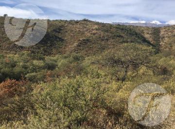 Campo · 186800m² · San Javier (Cba) I Campo 18.5 Ha