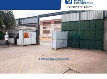 Depósito · 3000m² · 1 Ambiente · Depósito Para Industria o Logística Batlle Berres Alquiler