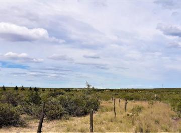 Terreno · 20000m² · Terrenos/fracciones/loteos - Loteos - Puerto Madryn