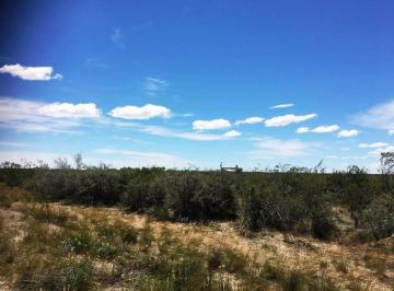 Terreno · 40000m² · Terrenos/fracciones/loteos - Loteos - Puerto Madryn