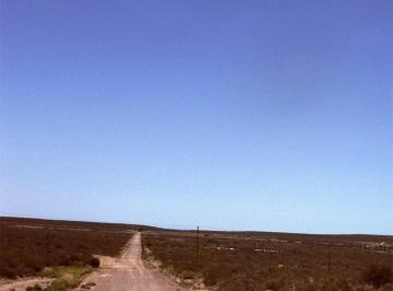 Campo · 4ha · Propiedades Rurales - Chacra - Puerto Madryn
