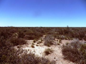 Campo · 2ha · Propiedades Rurales - Chacra - Puerto Madryn