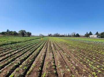 Campo · 50932m² · Venta Campo Cerca de Au Cor Ros