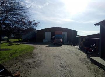 Bodega-Galpón · 600m² · Venta Planta 16