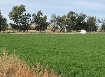 Campo · 500000m² · Inmobiliaria Mendokey Vende Finca 50has en La Dormida, Santa Rosa - Mza.