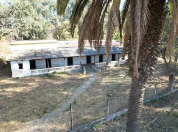 Campo · 12461m² · Finca en Los Alisos