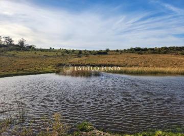 Foto1 · A 10 Kms. de Pueblo Garzón, Chacra de 36 Ha