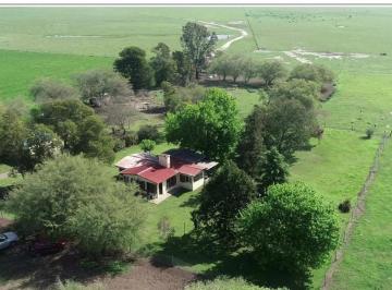 Campo · 450m² · 6 Ambientes · Venta Excelente Campo 830 Has - Maipu - Prov. de Buenos Aires