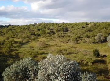 Terreno 15072ha Venta  · Venta de Lote Barrio Cacique Nawan - Inv0148