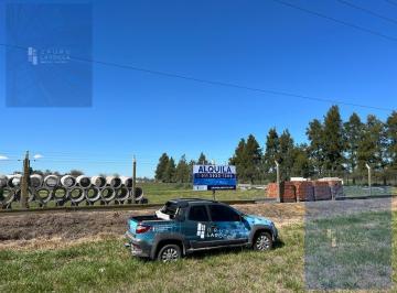 Local comercial · 58520m² · Local Industrial en Saladillo Ruta 205