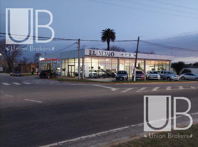 Local comercial · 500m² · 5 Ambientes