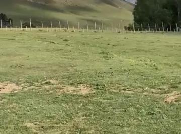 Terreno · 2100m² · El Pinar de Los Ciervos, Tafi del Valle