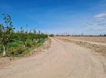 Quinta vacacional · 214m² · 2 Ambientes · Greenwood Vende Finca en Excelentes Condiciones, Derecho de Riego y Pozo Propio en Maipu