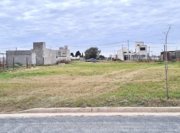 Terreno · 300m² · Terreno - Pueblo Esther