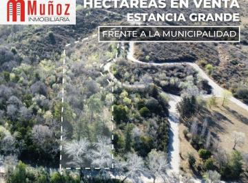 MUN-MUN-1147_2 · Lote. | Frente a La Municipalidad
