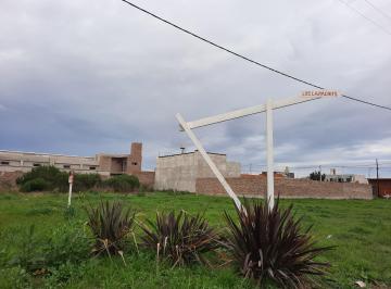 Terreno , Pérez · Lote Sobre Av Belgrano Ingreso Barrio Los Lapachos Pérez