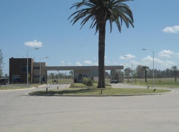 Terreno · 360m² · Terreno - Roldán