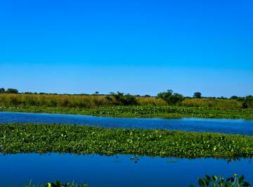 Campo , Romang · Isla Frente Al Paso Arenal