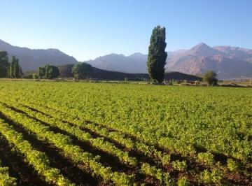 Terreno , Uspallata · Terreno de 13617 en Uspallata Ideal Turismo