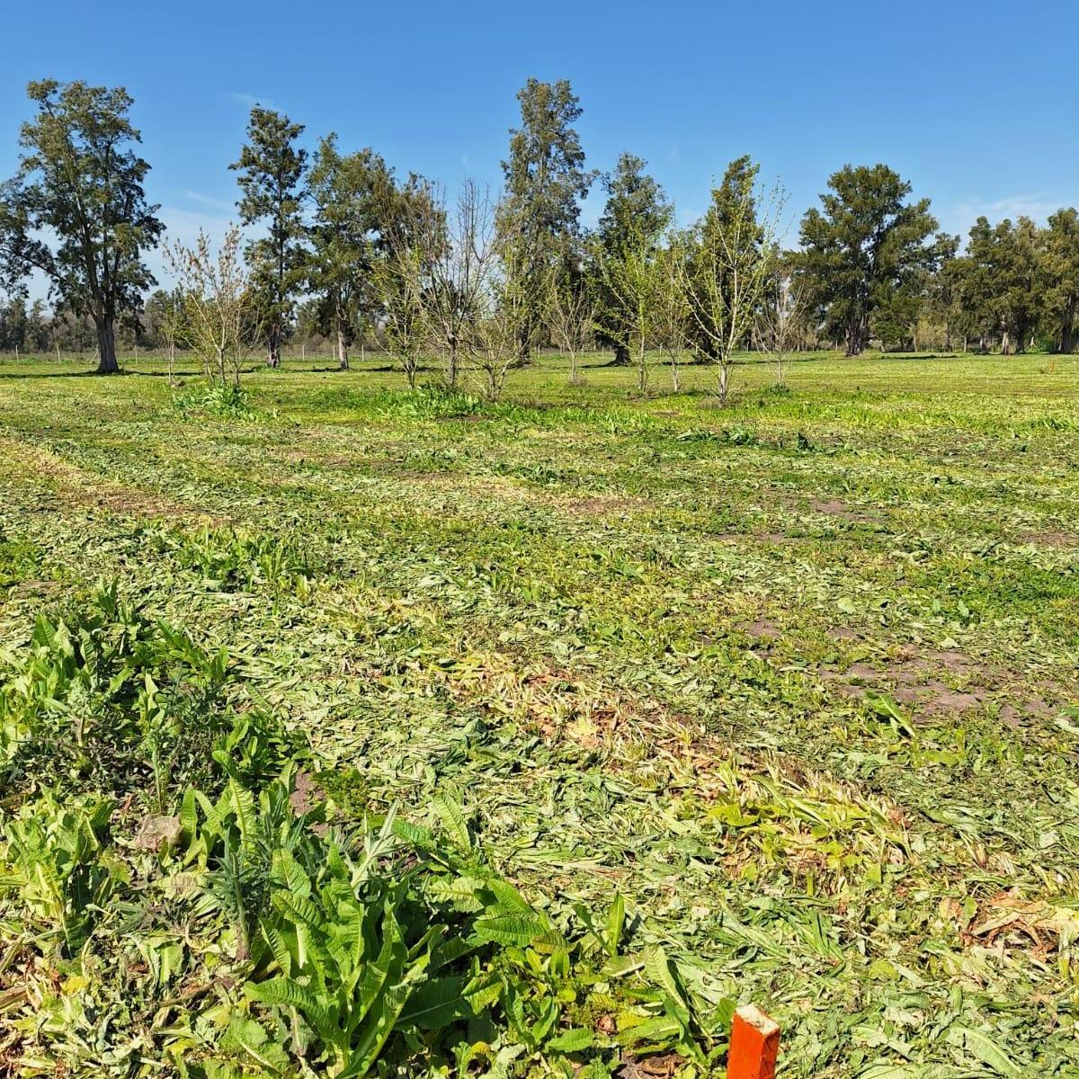 637, Villa Parque Sicardi, La Plata