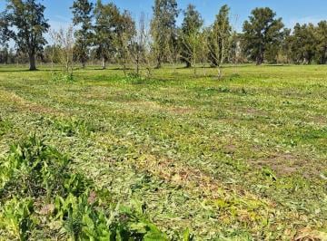 Terreno , La Plata · Lote en Venta Barrio Cerrado "Los Pinares"