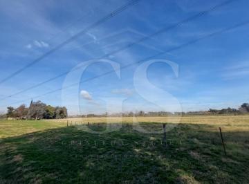 Campo · 70000m² · Terreno Campo en Venta en Fátima, Pilar, G. B. a. Zona Norte