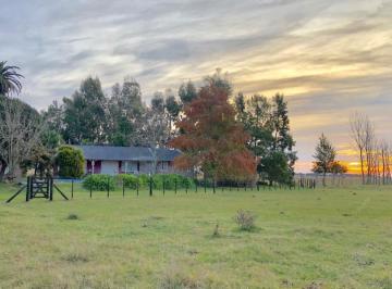 Campo · 250m² · 8 Ambientes · 130 Has - Campo en Venta en Chascomus - Ideal Cria de Caballos