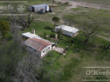 Campo · 1200m² · 3 Ambientes · Campo Ganadero en Venta - Calchaqui 1200 Has - con Frente Sobre Ruta