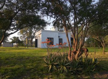 Campo de 2 ambientes, Herrera · 4,5 Has Chacra en Venta con Hermosa Arboleda