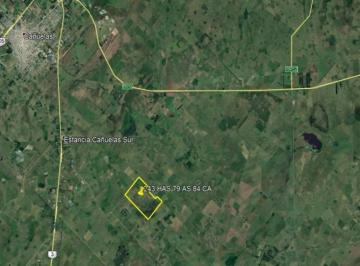 Campo · 244m² · Venta - Campo de 244 Hectáreas en Cañuelas, Ideal Para Ganadería y Agricultura
