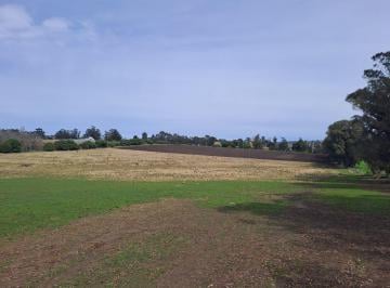Campo · 30000m² · Campo - Sierra de Los Padres