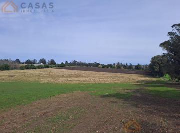 Campo · 30000m² · Campo - Sierra de Los Padres