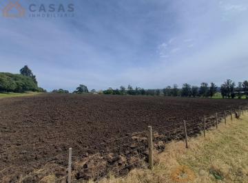 Campo · 15000m² · Campo - Sierra de Los Padres