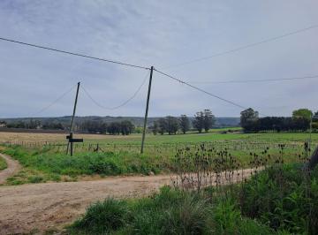 Campo · 60000m² · Campo - Sierra de Los Padres