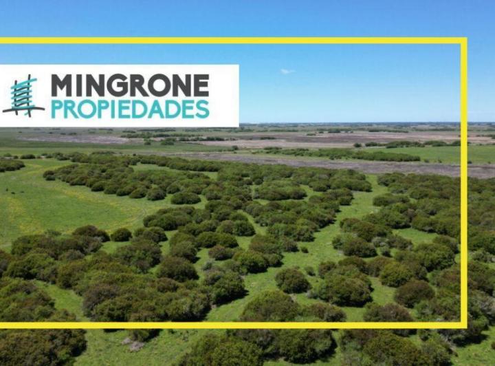 Terreno · 40ha